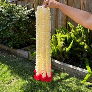 Assorted Mogra Bud Garlands With Marigold Latkan South Indian Floral Strings Sangeet Pellikooturu Decor Seemantham <b>Decorations</b> - Product Image 1