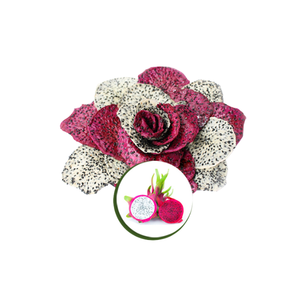 Los más vendidos, fruta de dragón suave seca en rodajas, proveedor de Vietnam, productos de frutas secas naturales a la venta - Product Image 2