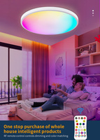 Plafonnier LED acrylique ultra-fin 24W RGB avec télécommande, température de couleur réglable, intensité variable pour chambre à coucher, salon, style moderne