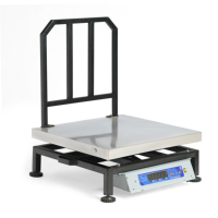 Balance de table numérique industrielle ACE en acier inoxydable 200 kg, haute précision 10/20g, garantie 1 an