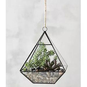 ที่เหนือกว่าแก้วกระจกเทอราเรียมดีไซน์ใหม่กรอบเหล็กปรับแต่งเสร็จ & ขนาดสำหรับตกแต่งโต๊ะ - Product Image 3