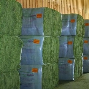 Heno de Alfalfa 100% Natural de Primera Calidad, Heno de Pasto Rhodes para Alimentación Animal, en Bolsas de PP de 25 y 50 kg - Product Image 2