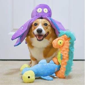 Pelota de juguete interactiva para mascotas ecológica con cola, teaser automático para perros y gatos, productos de suministros para mascotas, novedad de 2025 - Product Image 2