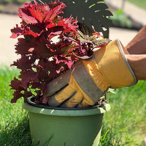 ถุงมือทำงานแบบฝ่ามือทำจากหนังที่มีสายรัดข้อมือเพื่อความปลอดภัยและปลายนิ้วเสริมความแข็งแรงเพิ่มความทนทานโดยรวม - Product Image 2