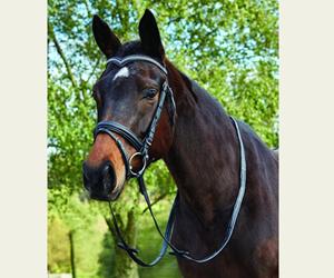 Haute qualité profonde V cristal hanovarien bride à mors en cuir véritable bride de cheval prix de gros bon marché - Product Image 6