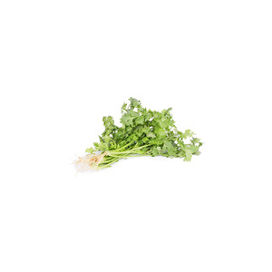Copos de cilantro deshidratado verde natural seleccionado chino - Product Image 6