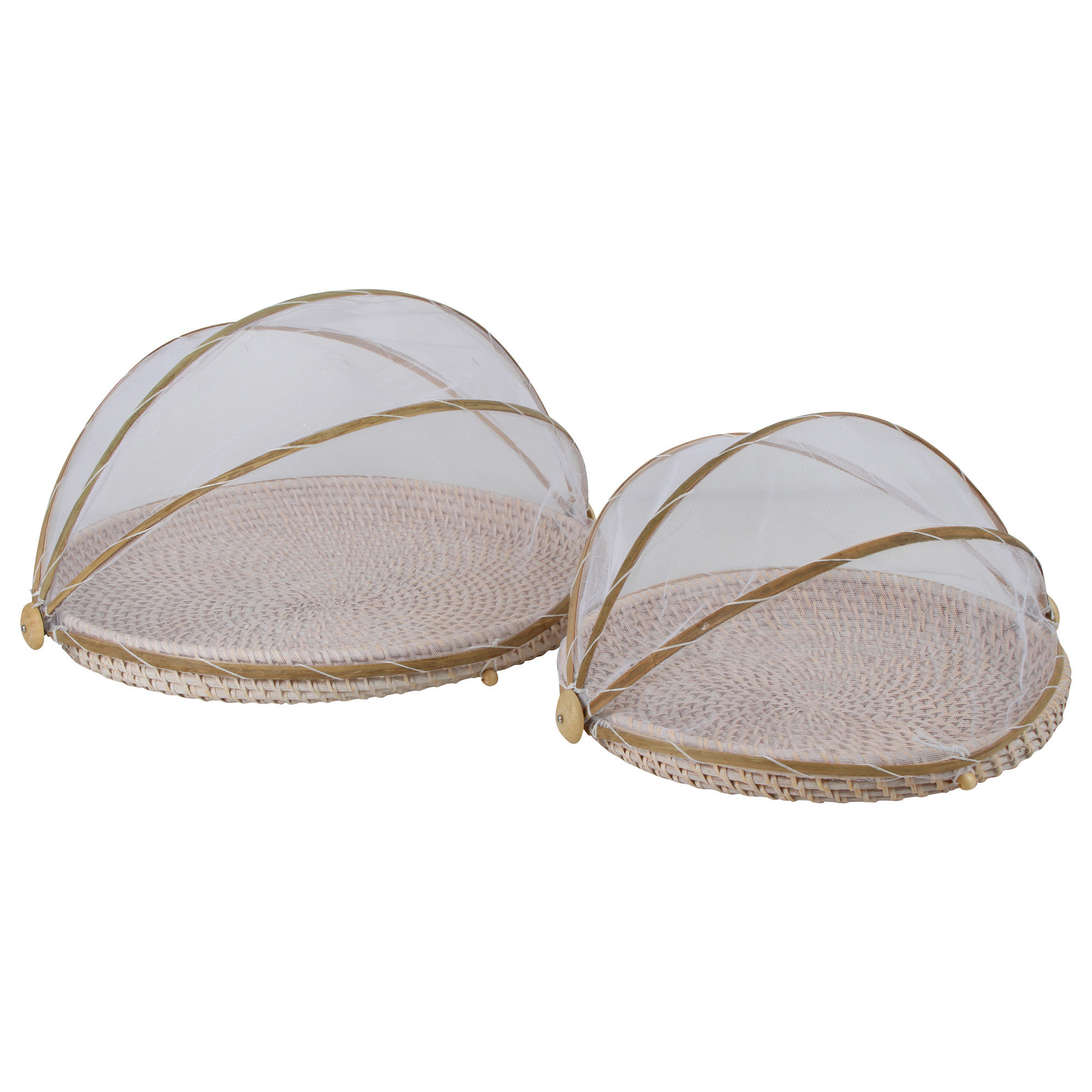 ธรรมชาติ