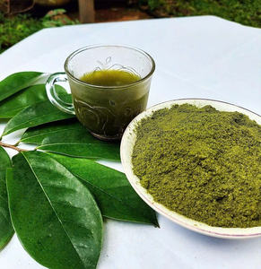 Poudre de feuilles de corossol en gros: la meilleure qualité du Vietnam - Product Image 4