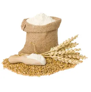 Harina de trigo, harina de trigo para el pan, el mejor precio