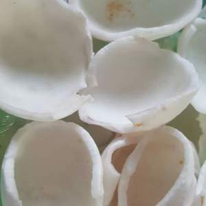 Viande de noix de coco pure tropicale 100%, fraîche et délicieuse Distributeur entier de Coconut Copra Holiday - Product Image 5