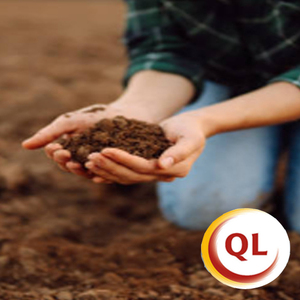 Fertilizante NPK verdaderamente orgánico de alta calidad, estiércol de pollo seco para tierra y fertilizante orgánico rico en nutrientes para plantas - Product Image 5