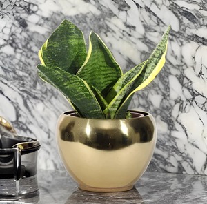 Jardinera de metal redonda minimalista con acabado negro liso, ideal para casas contemporáneas, oficinas y jardines interiores - Product Image 6