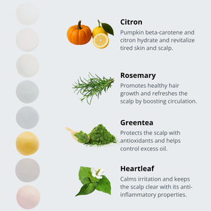 Eco-Friendly Citron Solid <b>Shampoo</b> ERIGERON Damage Repair Treatment Sulfate-Free Korean Vegan Hair Care Anti-Dandruff Anti-Frizz - Product Image 2