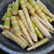 100% d'origine naturelle, pousses de bambou pour préparer des repas parfaits, provenant d'un fournisseur vietnamien - Product Image 3