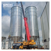 Silo de Almacenamiento de Granos de Café Directo de Fábrica, Capacidad Personalizada de 20-3000T Disponible