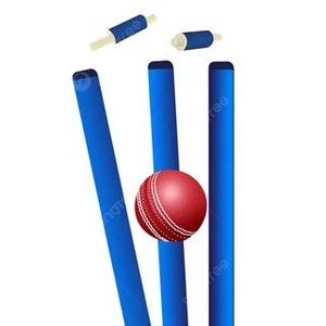 Vente chaude de qualité supérieure en bois ressort dos cricket souche d'entraînement avec base en métal meilleur prix - Product Image 2