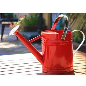 Jugs Home And Garden Supplies Arrosoirs en métal classiques, élégants et modernes, vente en gros, style unique, arrosoir rose - Product Image 3