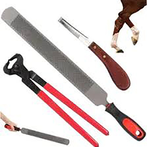 Vật liệu chất lượng cao ngựa xa móng <span class=keywords><strong>Kit</strong></span> với thú y ống tiêm 9-mảnh công cụ thiết lập trong cặp túi-phong cách túi - Product Image 2
