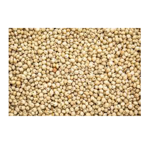 Semillas de Sorgo Blanco de Calidad al por Mayor, Brasil, Uso Alimentario, Fabricante de Alta Calidad, Nuevo Material Superior con Precio Económico - Product Image 5