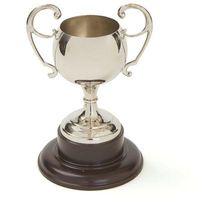 Trophée en métal de qualité supérieure à base lourde et finition brillante utilisé pour honorer les plus performants dans diverses industries