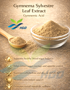 HGO Fournisseur direct d'usine d'extrait de feuilles de Gymnema Sylvestre pur et naturel, qualité alimentaire, acide gymnémique 50% extrait standardisé - Product Image 3