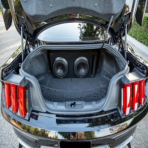 ¡Oferta Imperdible! Ford Mustang Saleen S302 Yellow Label Coupe 2023 Súper Limpio, 745 HP, V8 Supercargado, Coupé de Lujo en Color Negro Sombra - Product Image 5