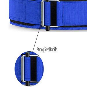 เข็มขัดพยุงหลังสำหรับออกกำลังกายฟิตเนสยกน้ำหนักสำหรับทุกเพศ100% ยกน้ำหนักเข็มขัดนีโอพรีนยกน้ำหนัก - Product Image 6