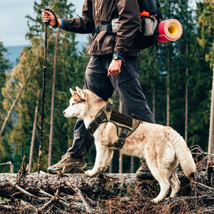 Arnés de entrenamiento profesional para perros de alta calidad, cómodo, transpirable, estilo Simple, verde para senderismo y pasear perros - Product Image 5
