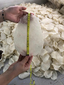 Grosbeau de poisson vietnamien - Transformation traditionnelle, idéal pour les applications culinaires et les soupes - Product Image 6