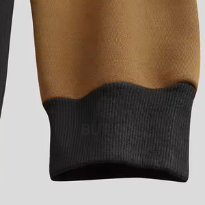 2025 nueva llegada sudaderas con capucha de estilo de invierno para hombres hechas a medida Material de poliéster de algodón informal con cuello con capucha de patrón sólido - Product Image 6