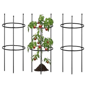 60 cm de haut métal jardin Art treillis fleur Supporter et plante Support Cage piquets pour plantes grimpantes et culture de tomates - Product Image 1