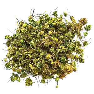 Vietnamese Supplier Dried Panax Pseudoginseng - Product Image 1