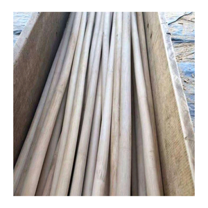 Noyau de rotin pour meubles professionnels et artisanat Noyau de rotin idéal pour l'ameublement artisanal de qualité supérieure - Product Image 6