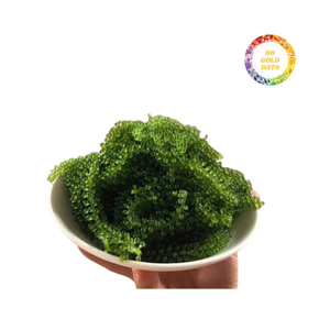 Spécial Vietnam Origine Seagraph Séché Déshydraté Exportation Meilleur Prix - Product Image 3