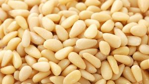Factory Price Organic Raw Pine Nuts Kernels 100% Natural Dried <b>Vacuum</b> <b>Bag</b> Packaging Best Quality Food - Product Image 4