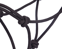 Licol en nylon noir réglable pour l'entraînement des jeunes chevaux, poulains, petits poneys, cob, arabes, chevaux de race et chevaux de traction