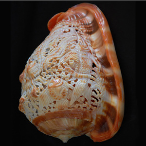 Sculpture art à melo shell SEASHELL BIJOUX Technique polie Ivoire Seashell Motif Artisanat pour la décoration - Product Image 2