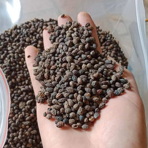 มะละกอผู้หญิงสีแดงสดผลไม้ทางการเกษตรรสหวานพร้อมส่งออกทั่วโลก - Product Image 1