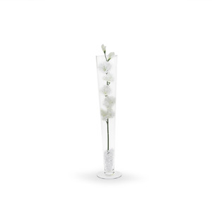 VTV0424 - แจกันทรงทรัมเป็ตแก้วพิลส์เนอร์ - 24 - Product Image 5