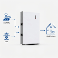 Système de stockage d'énergie à batterie LiFePO4 51,2V 100Ah 200Ah 314Ah 5kWh 10kWh 16kWh Grade A avec BMS intelligent pour kit solaire domestique hors réseau