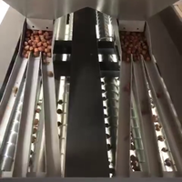Machine de craquage d'étalonnage et de décorticage des noisettes | NUT-GR 250/500