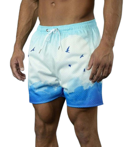 Offre Spéciale taille personnalisée hommes maille Shorts été décontracté haute rue séchage rapide fonction meilleurs prix avec impression numérique - Product Image 1