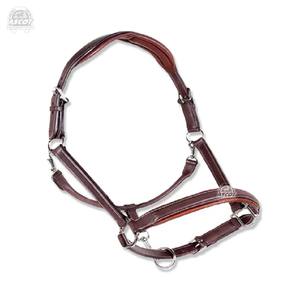Meilleures ventes Halter en cuir de style selle anglaise avec Concho argenté fait à la main pour équipement de cheval - Product Image 5