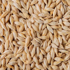 Son de blé d'orge séché prêt à l'exportation pour l'alimentation des animaux pour chevaux et bovins en sacs - Product Image 4