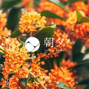 ธูปหอมออสแมนธัสแบบดั้งเดิม 40 กรัม - Product Image 6