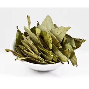 Hojas de Guanábana Secas Orgánicas, Hoja de Annona Muricata, Recogidas a Mano y Secadas al Aire - Product Image 3