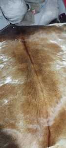 Bò ẩn động vật in kích thước lớn tùy chỉnh hình dạng khu vực thảm cho phòng khách thảm - Product Image 5