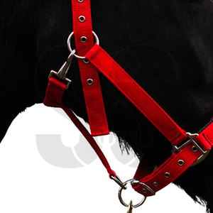 En gros, Nouvelle Tendance : Licol pour Cheval en Nylon Robuste pour Usage Quotidien, avec Option Cuir Véritable, Rembourré et Ajustable - Product Image 5