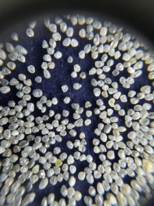 Abrasifs de diamant naturel de qualité supérieure Médias de sablage haute performance pour les conditions de forage humide/sec - Product Image 4