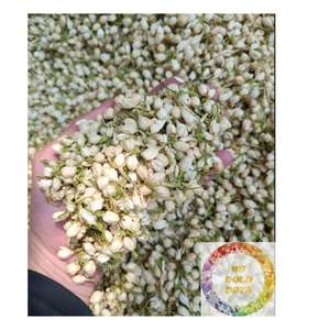 Flores de Jazmín Secas Naturales de Vietnam, Hierba de Té de Flor Pura para una Infusión Aromática Relajante y Bebidas Diarias Saludables - Product Image 1